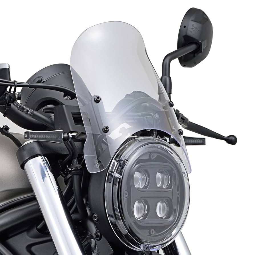 Amazon | デイトナ(Daytona) レブル250/500(20-21)専用