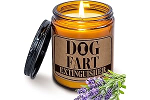 Thoughtful Dog Sitter Thank You Gifts for Dog Lovers