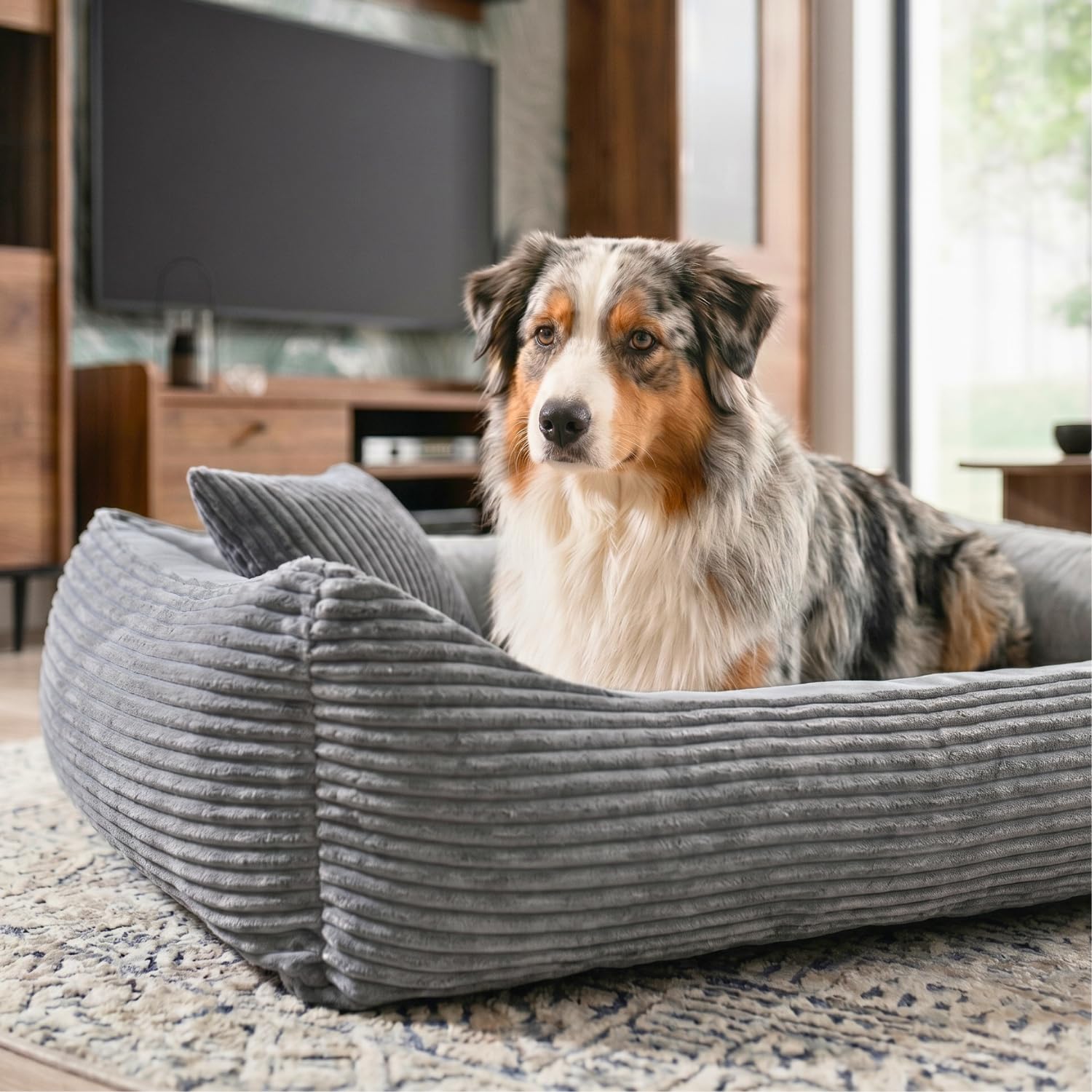 4L Textil Molly Cuccia per Cani in Velluto a Coste - Letto Grigio Taglia Grande - Cuscino Divano (100x80 cm) | Con fodera e cerniera, lavabile in lavatrice