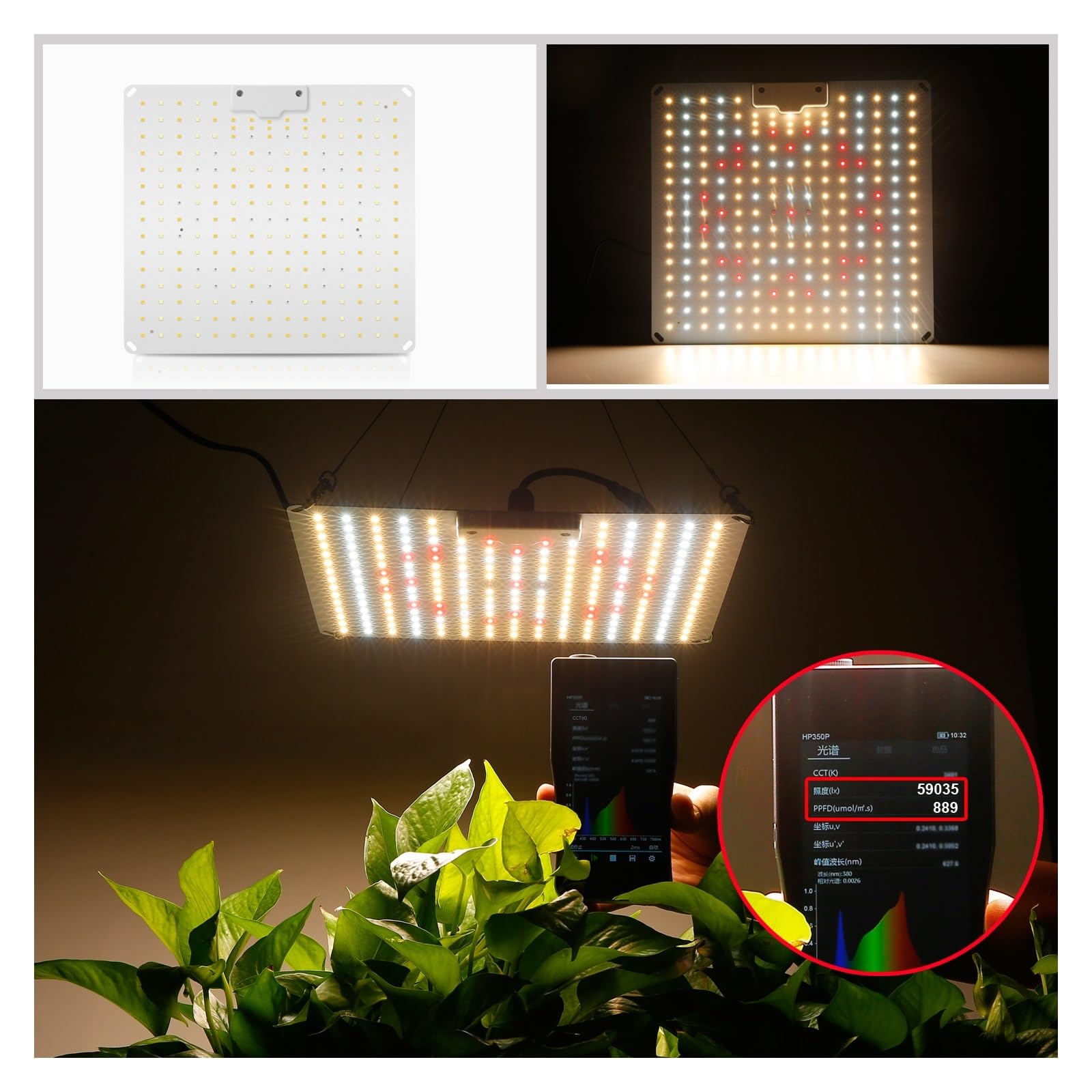 Lampada per Piante, 1000W 800W 600W LED coltiva la luce con il bordo silenzioso di spettro completo del diodo, utilizzato for la pianta idroponica della tenda della serra(800W 5 spectra)