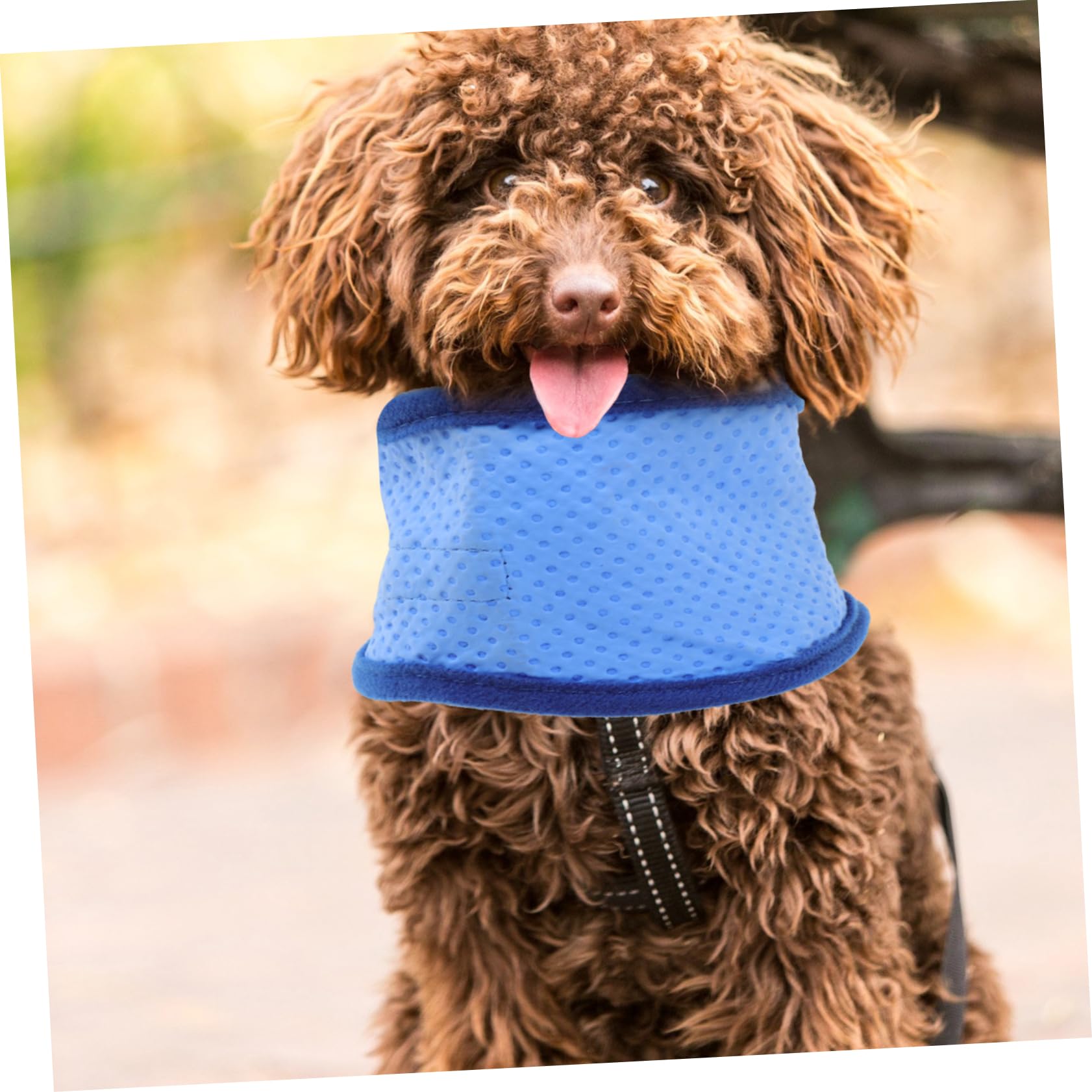 ABOOFAN Lot De 3 Colliers Auto-rafraîchissants pour Chien Et Chiot Bandana Rafraîchissant pour Animaux De Compagnie 2 Pièces X 3