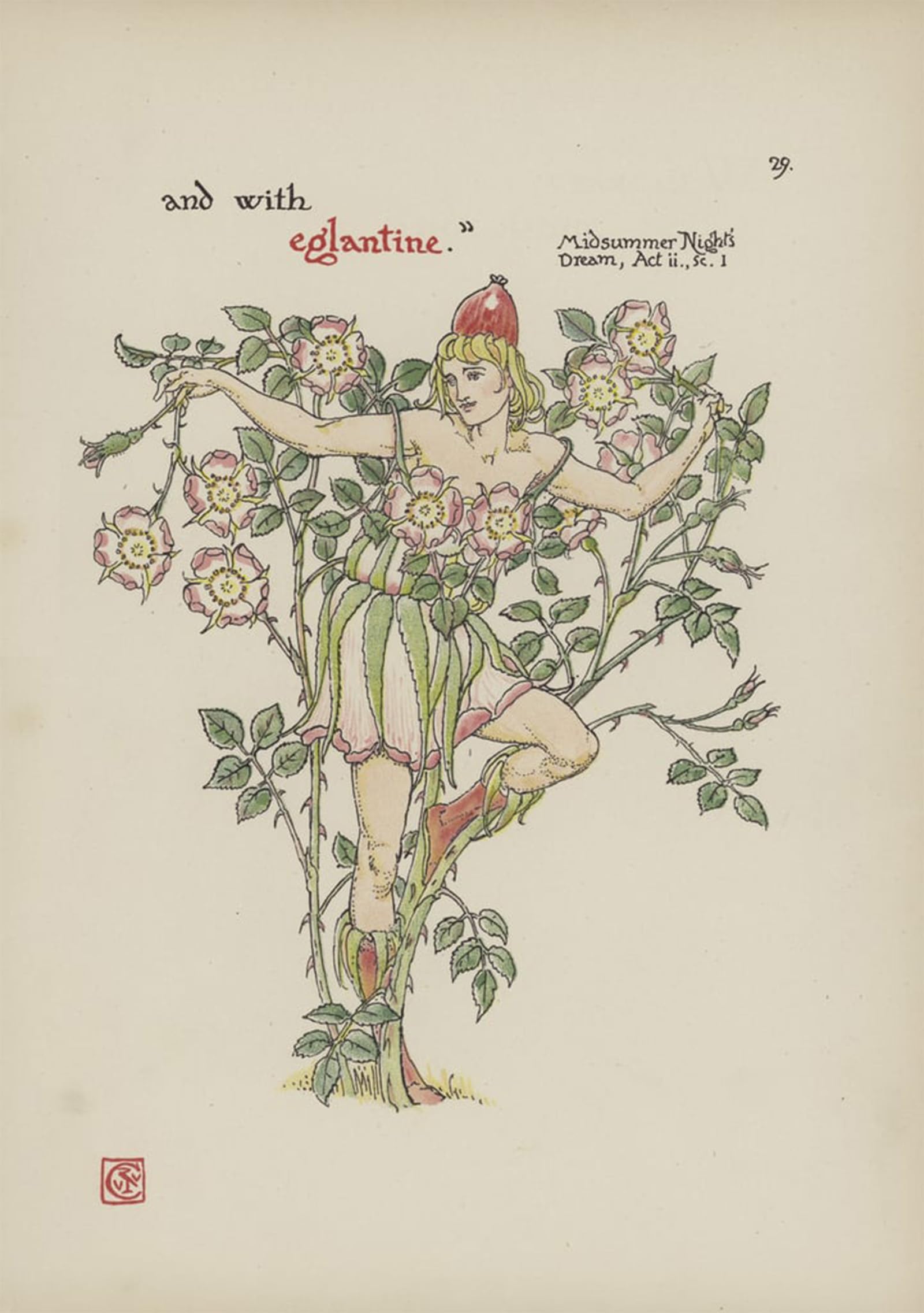 POSTERIIk Vintage Art Print Images Pictures Print Flowers From Shakespeares Garden by Walter Crane Modern Colour Posters for Office Home Decor 60x90cm