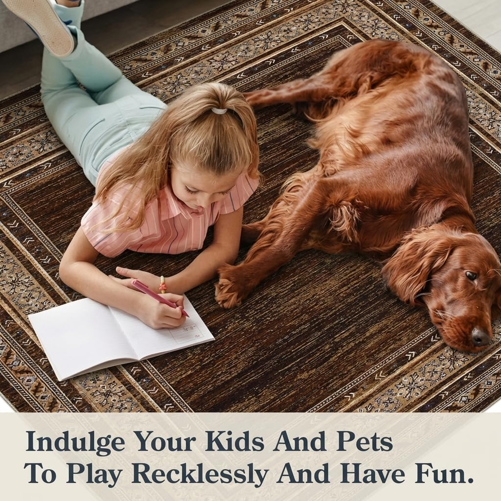 Modern Solid Area Rug 5x7 Washable Non Slip Neutral Rugs for Living Room, Non-Shedding Stain Resistant Bordered Throw Carpet, Foldable Floor Rugs for Bedroom Dining Table, Red Brown