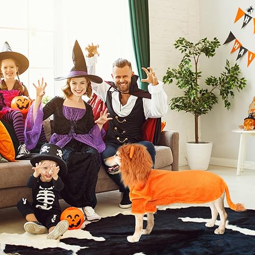 Miniatura 6 de BWOGUE Disfraz de león para perros grandes, disfraz de perro león de Halloween, sudadera con capucha de forro polar cálido con agujero para correa,