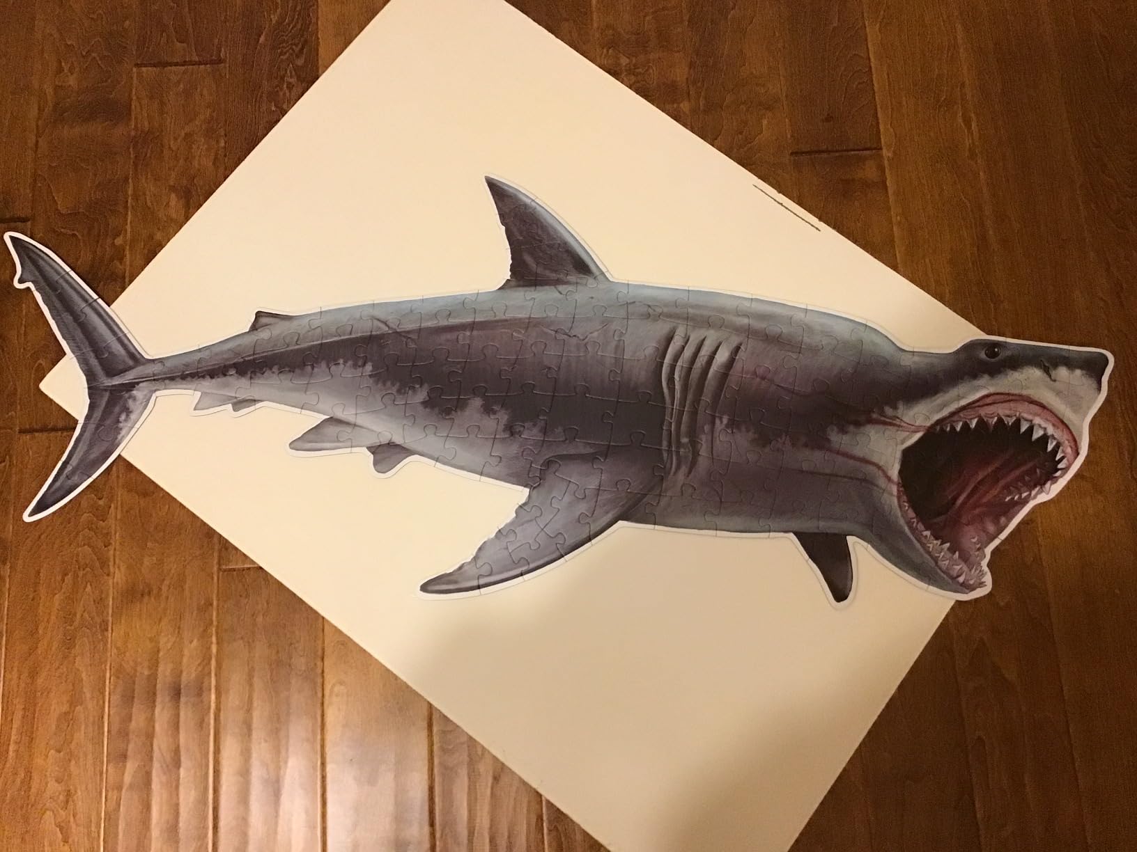 Shark Animal Anatomy Floor Puzzle | 100-Piece Double Sided Jigsaw