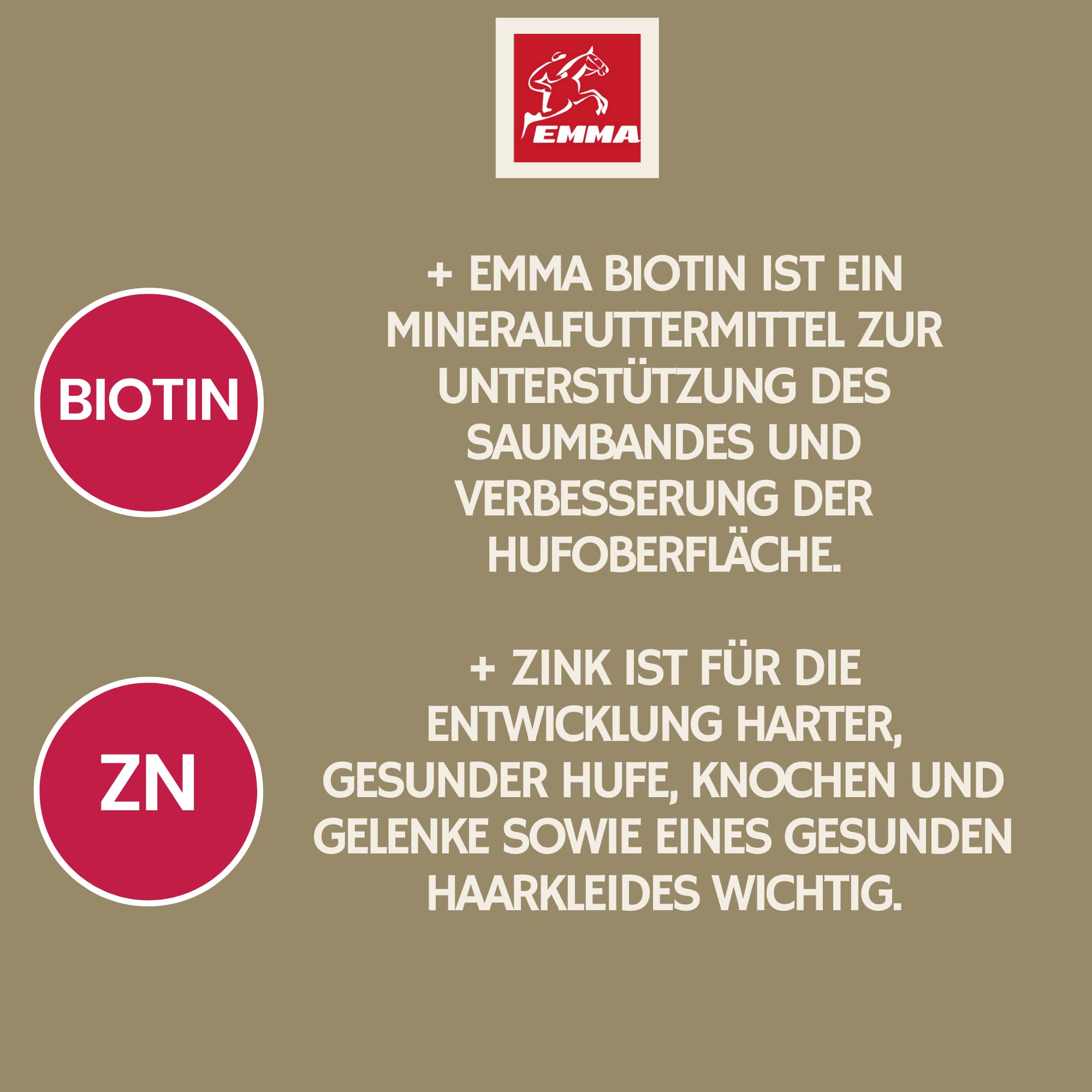 EMMA Mangime minerale e biotina per cavalli – Pellet di zinco biotina per zoccolo, pelle e pelliccia • Minerali con zinco, selenio, magnesio, lievito di birra e vitamine per la crescita degli zoccoli