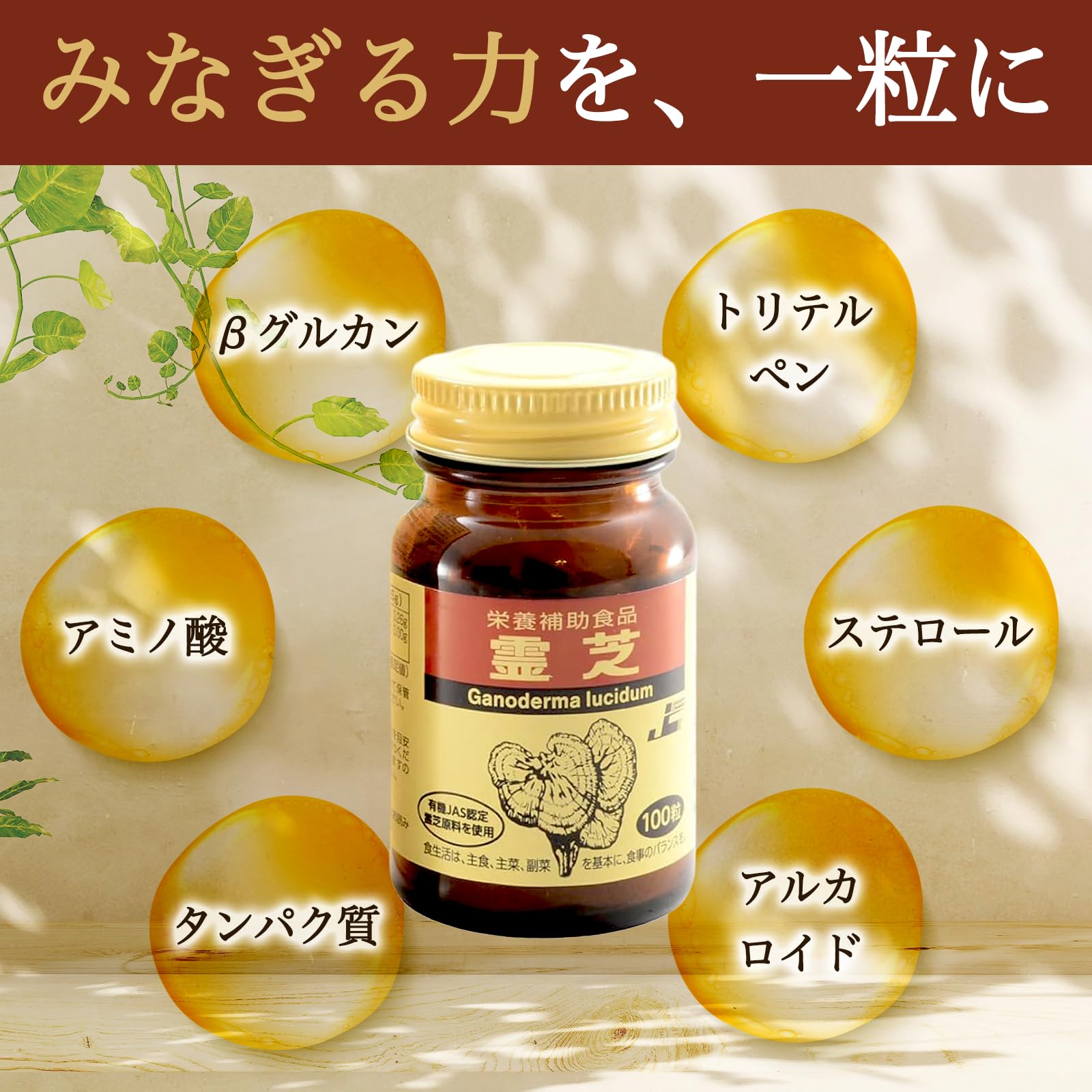 Amazon | 日本ケミスト 霊芝（れいし）リニューアル版 100粒 原材料93