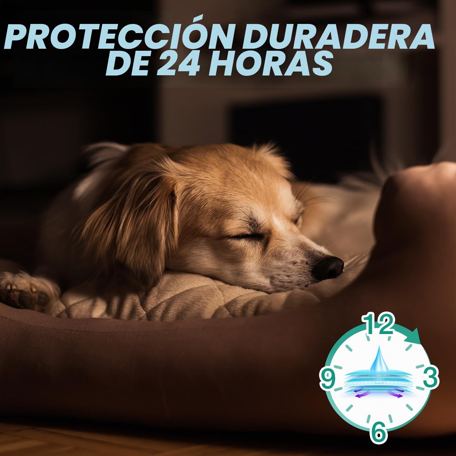 Pet Soft Pañales Desechables para Gatos, 20 Unidades, Súper absorbentes, Pañales para Gatos Hembras en Calor/Temporada/incontinencia con indicador de Humedad (XS-20 Unidades)