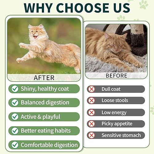 Miniatura 6 de Probióticos masticables sabrosos para gatos, 500 masticables de textura crujiente y cremosa, aceite de pescado Omega-3, salud de la piel y el