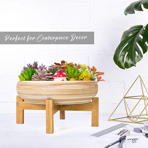 Miniatura 23 de Macetas para suculentas – Macetas grandes para suculentas con drenaje, maceta de cerámica para bonsái de 10 pulgadas con soporte, maceta redonda Azul