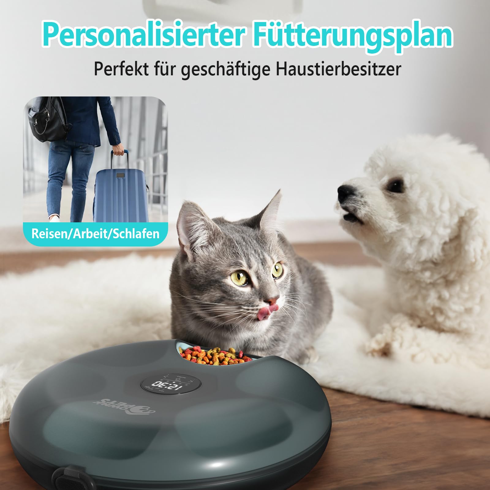 Ownpets 6 Mahlzeiten Automatischer Katzenfutterautomat für Nass-/Trockenfutter, mit 2 Kühlakkus, programmierbarer zeitgesteuerter Tierfutterautomat, Auto Feeder für Katzen,kleine Hunde