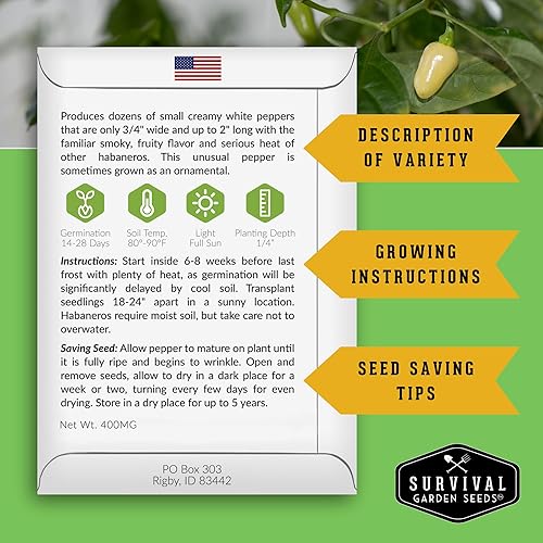 Miniatura 2 de Survival Garden Seeds - Mini semilla de pimiento habanero blanco para plantar - 1 paquete con instrucciones para plantar y cultivar pimientos