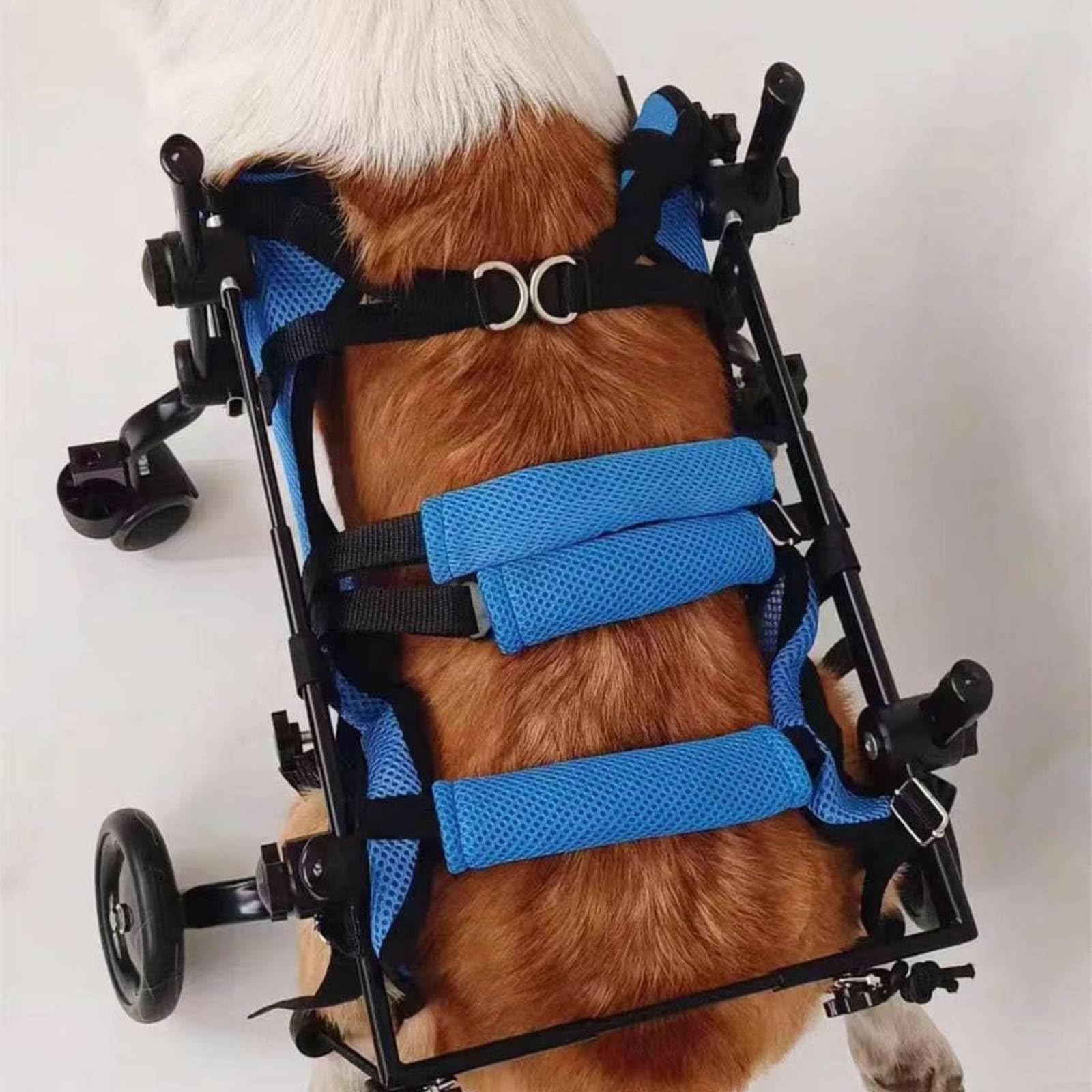 Amazon.co.jp: petsola 四輪ペット車いす 4輪構造 小型犬用車いす 調節