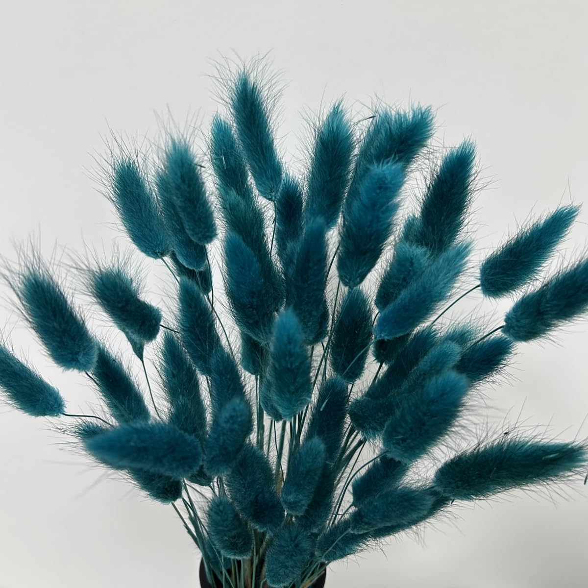 HSTEY 120pcs Bunny Tails Dried Teal