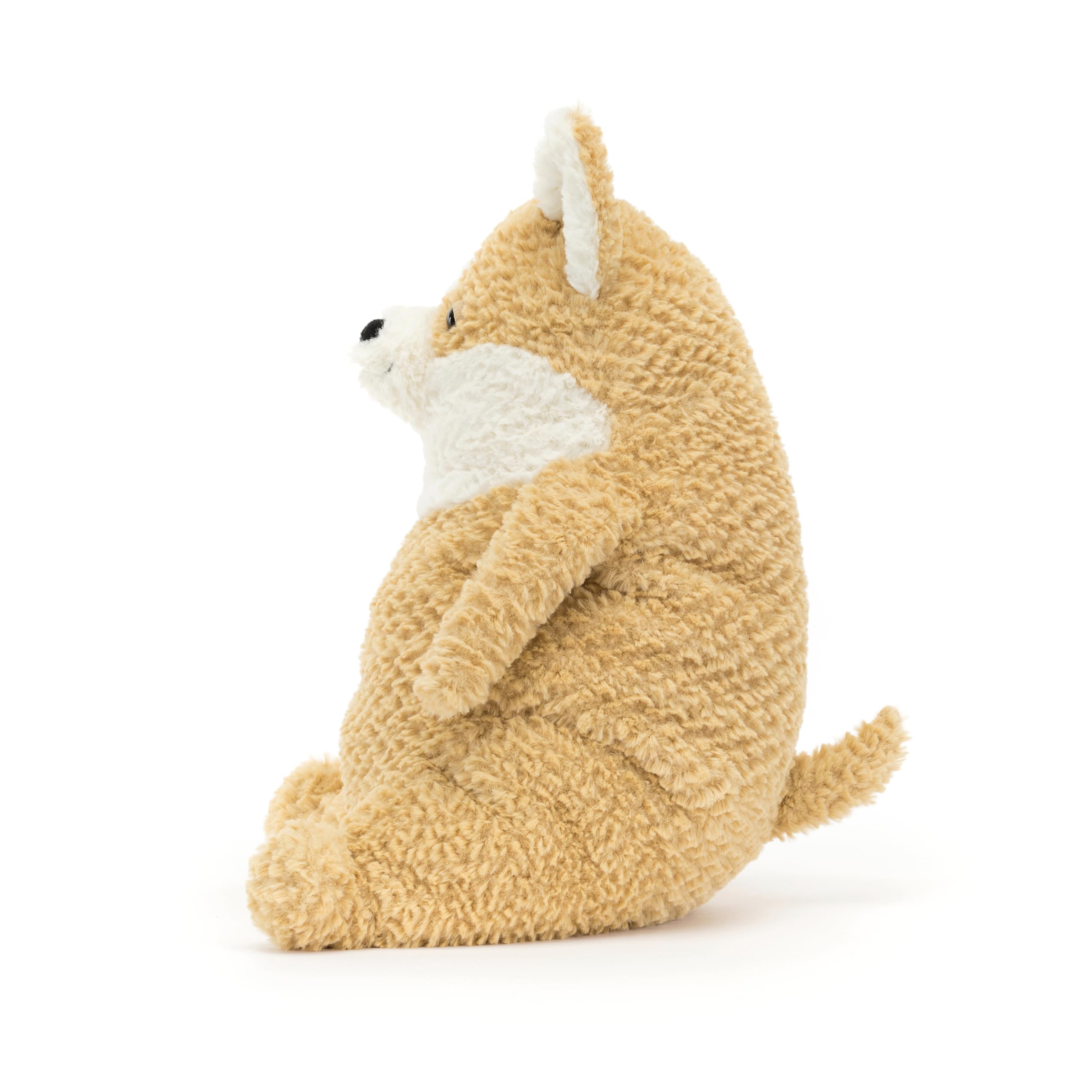 Amazon.co.jp: Jellycat Amore Corgi 犬 ぬいぐるみ : おもちゃ