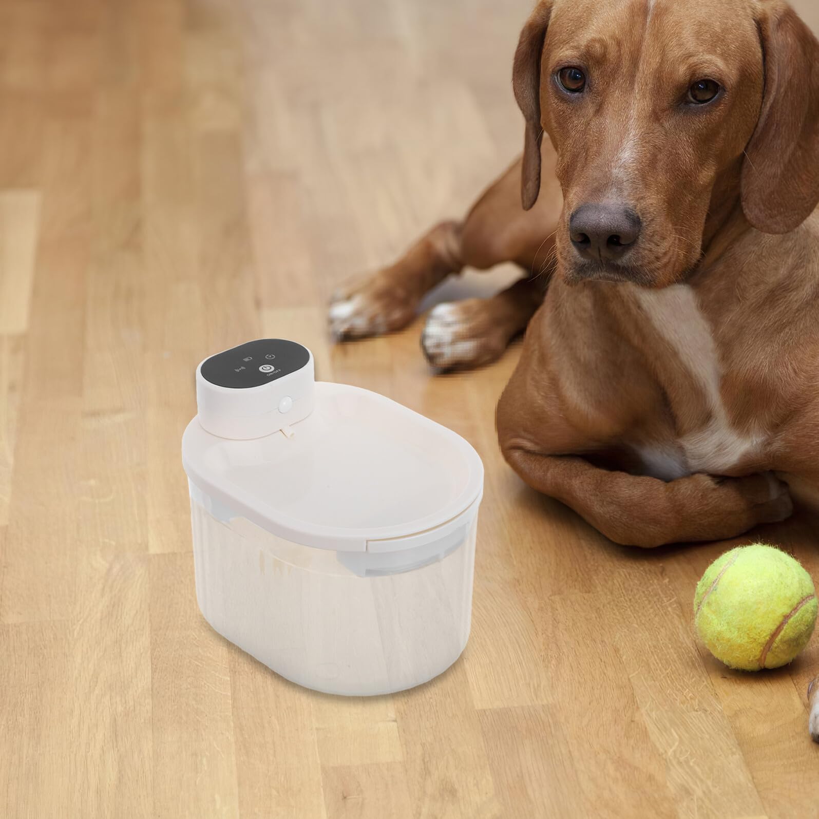 Fontana Acqua per Animali Domestici Senza Fili con Sensore di Movimento Intelligente Dispenser Silenzioso e Resistente per Cani e Gatti Circolazione Continua e Capacità Grande per