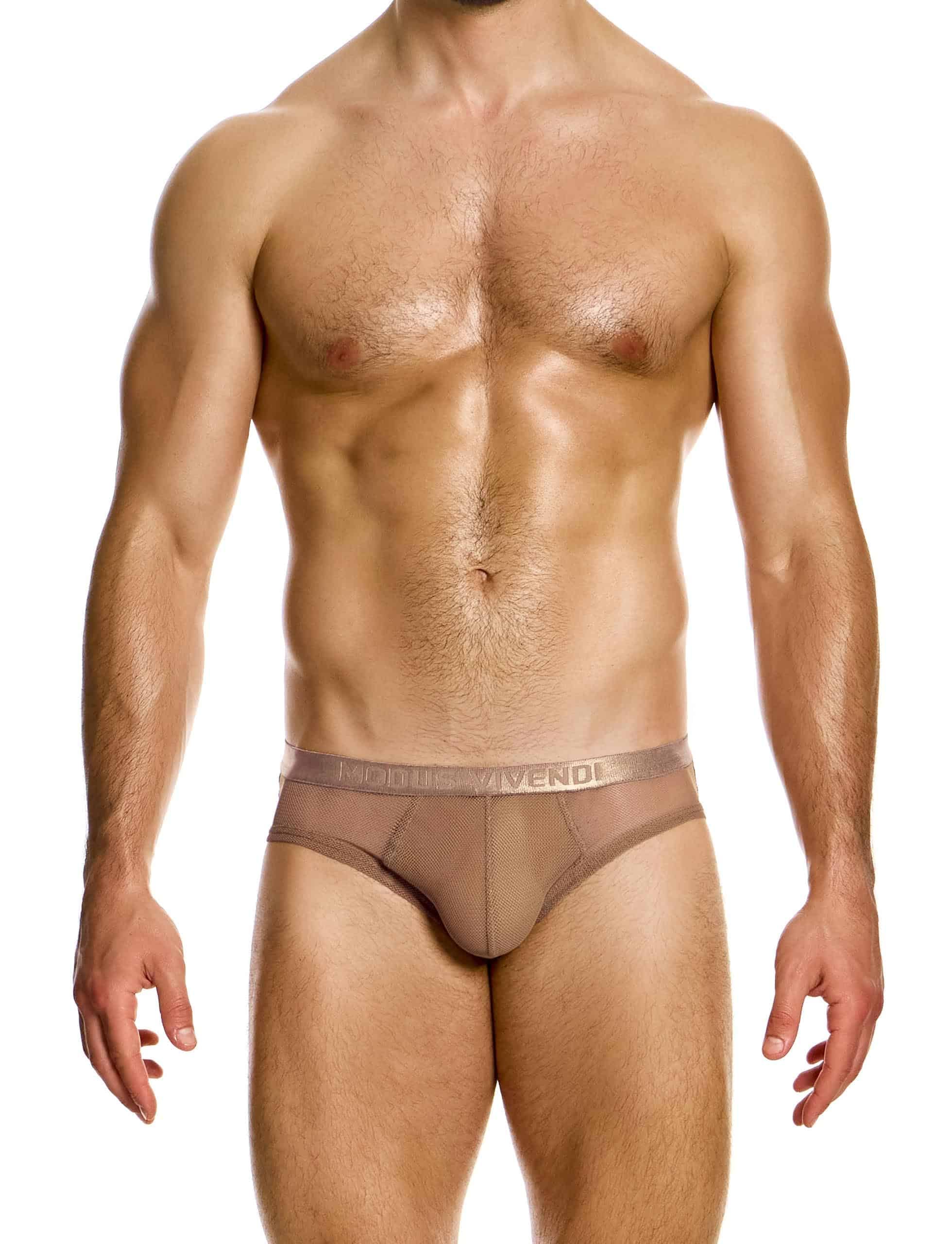 Modus Vivendi - sous-vêtement Slips Hommes - Mesh Through Classic Brief Skin