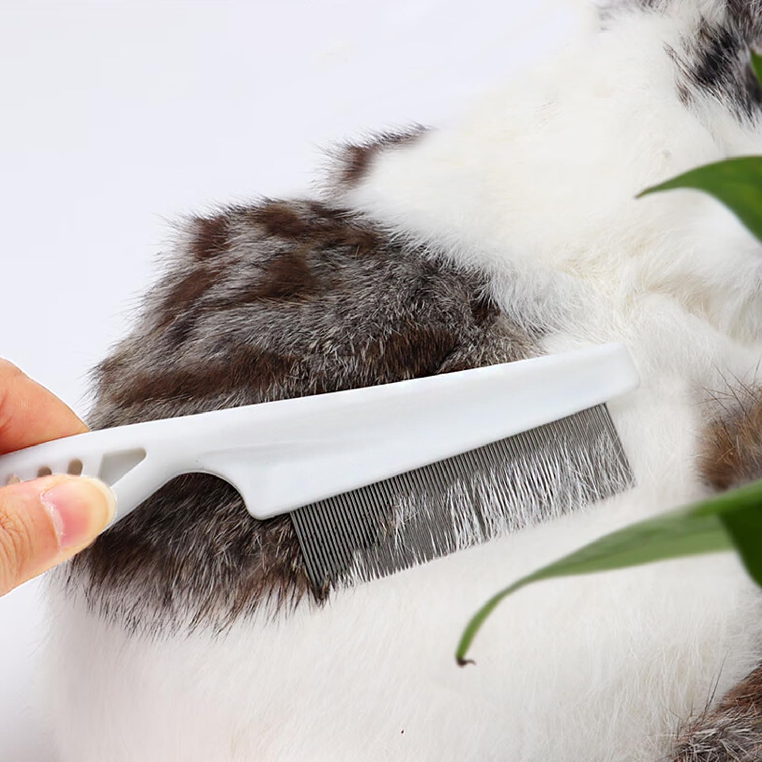 Haarpflege Kamm für Haustiere Hunde Katzen, Schonender Metallkamm mit abgerundeten Zinken zur Entfernung von Ungeziefer & lose Haare Praktischer Tierpflegekamm für tägliche Fellreinigung