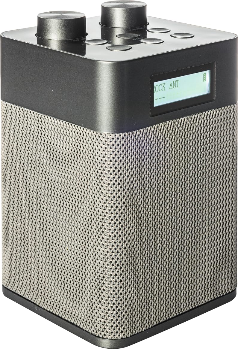 NEWTRO Tragbares DAB-Radio Vertikal - 2.200mAh Akku-Power für DAB/FM/BT- & USB-Wiedergabe inkl. Ladekabel und ausziehbarer Teleskopantenne