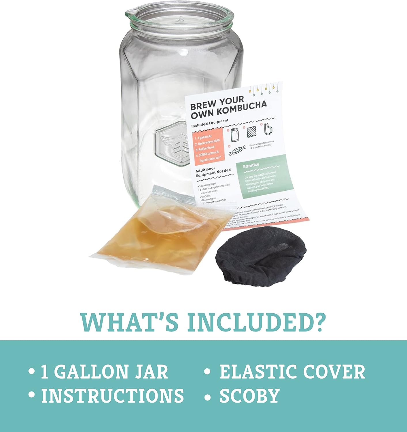 Craft A Brew - Kombucha Basic Starter Kit - For Home Brewing - Includes Fresh Kombucha SCOBY Starter, 1 Gallon Fermenting Jar, Cloth Cover, Brewing Guide