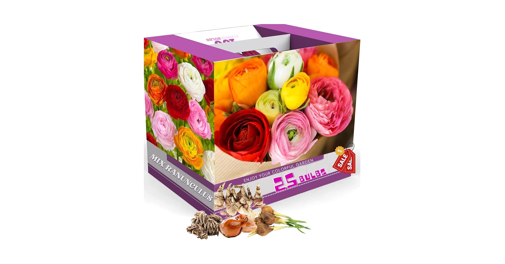 ranunculus様 リクエスト 2点 まとめ商品 Amazon.com : 25 Ranunculus Bulbs for Fall Planting