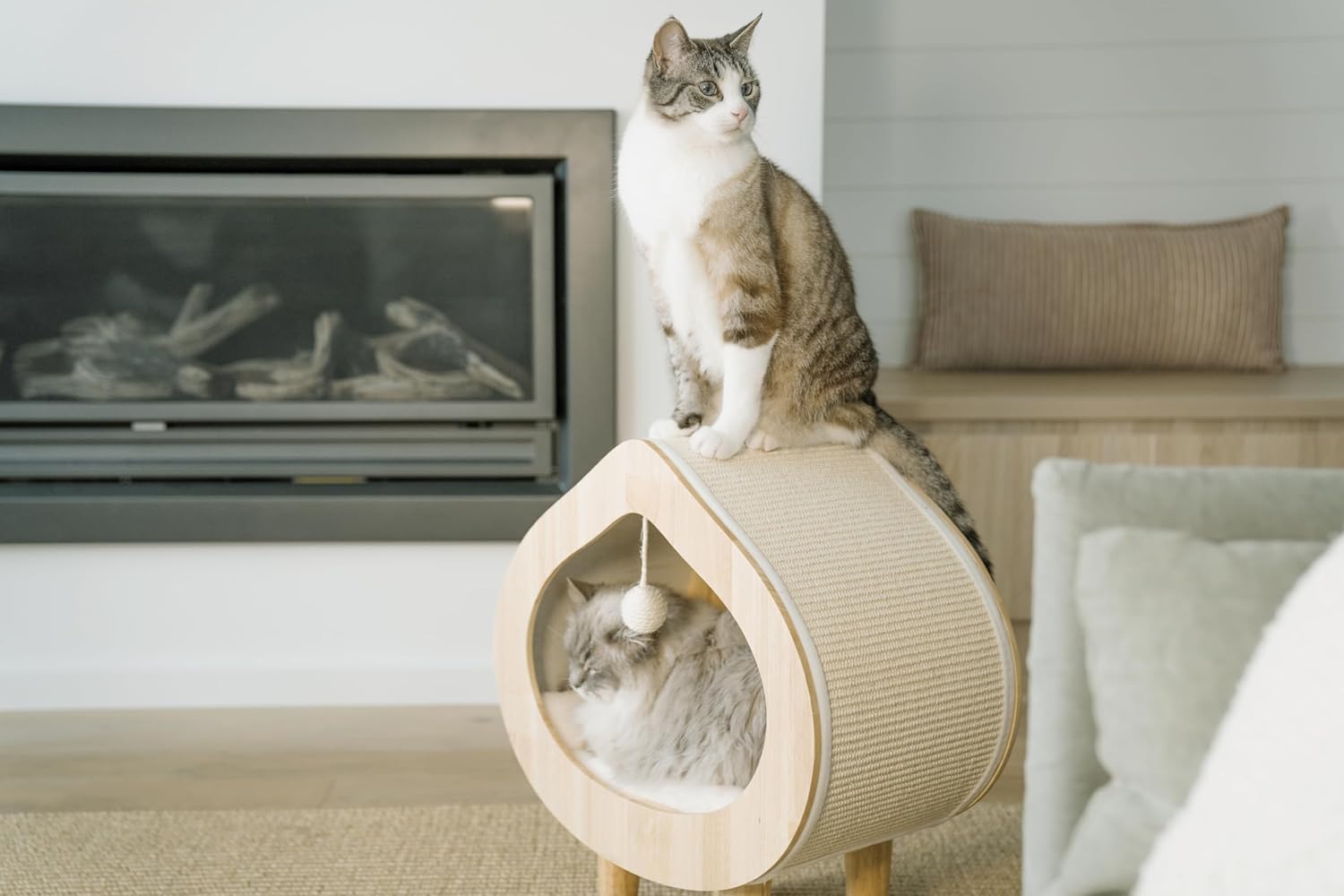 Luxury Cat Cave Bed & Scratching Condo for Indoor Cats - Modern & Cozy Cat Beds & Hideout - Kitty Bed & Furniture - No Assembly Required