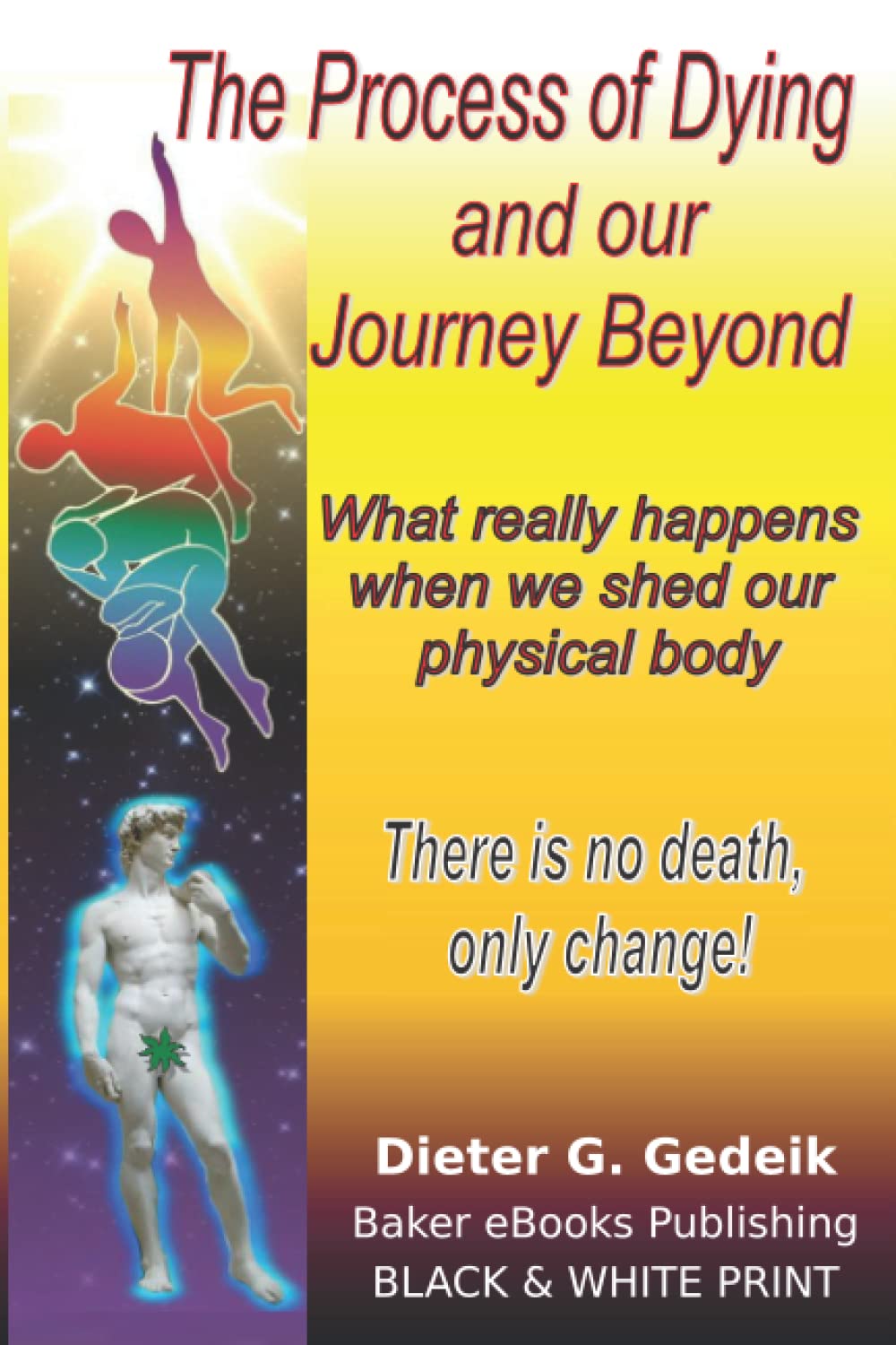 The Process of Dying and our Journey Beyond: What really happens when we shed our physical body
