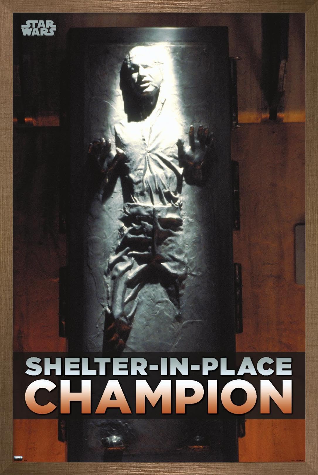 Poster Star Wars Han Solo affiche grand format Shelter in Place déco chambre
