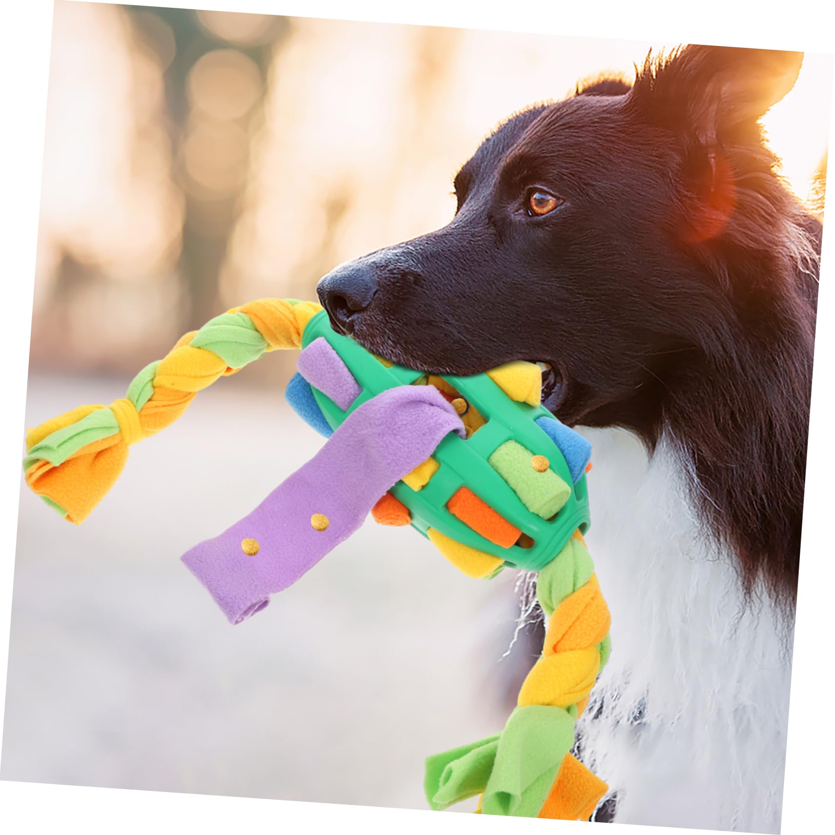 TOYANDONA Jouet à Renifler pour Chien Balle avec Friandises Encourage La Recherche Alimentaire Mangeoire Jouet Entraînement Interactif