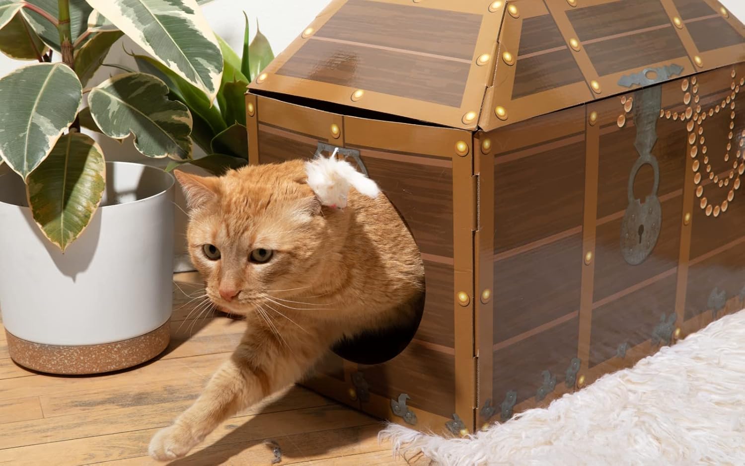 Midlee Treasure Chest Cat Scratcher House