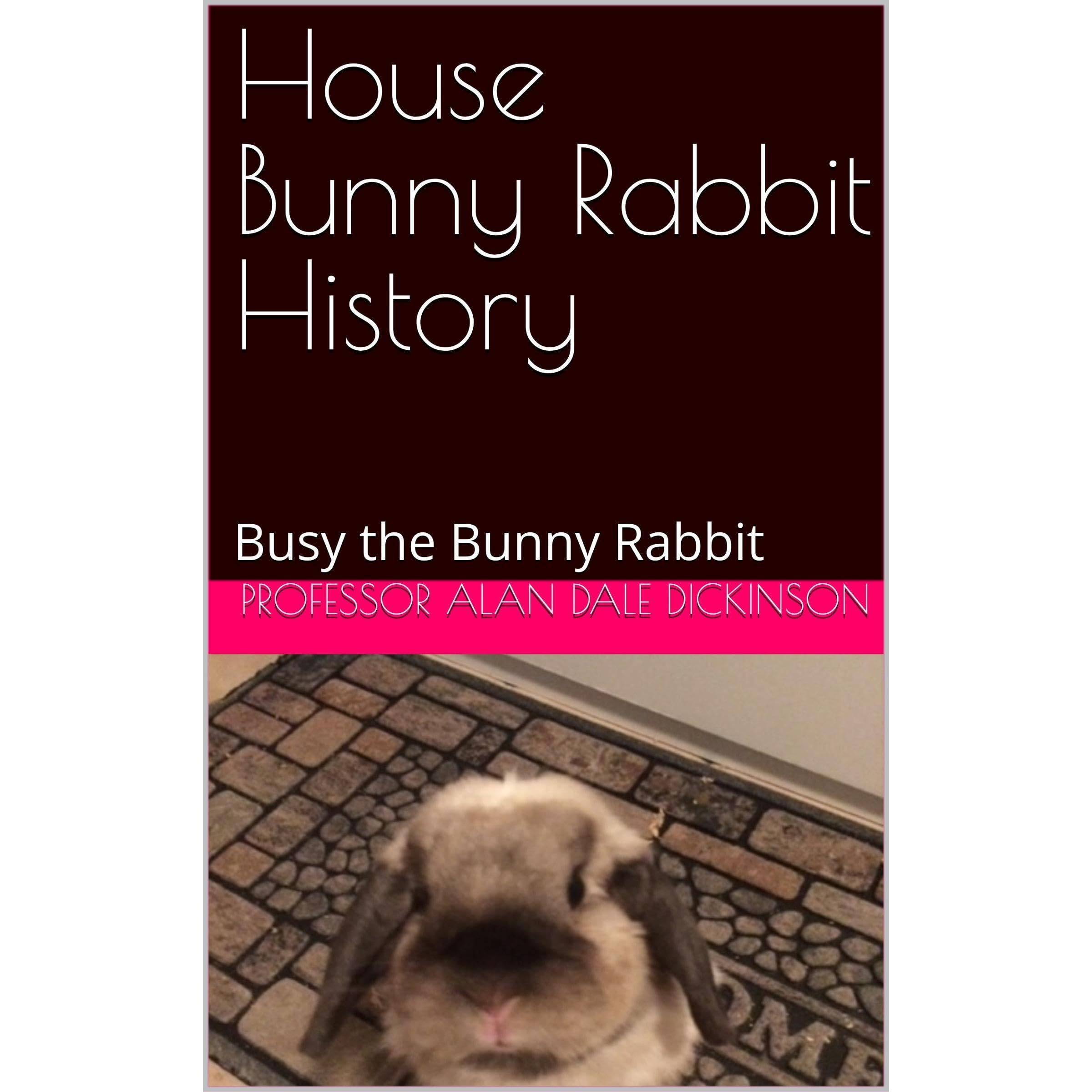 House Bunny Rabbit History