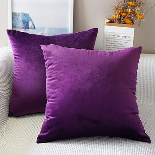 Paquete de 2 fundas de almohada de terciopelo de color morado de lujo de 20 x 20 pulgadas, fundas de almohada cuadradas decorativas suaves y