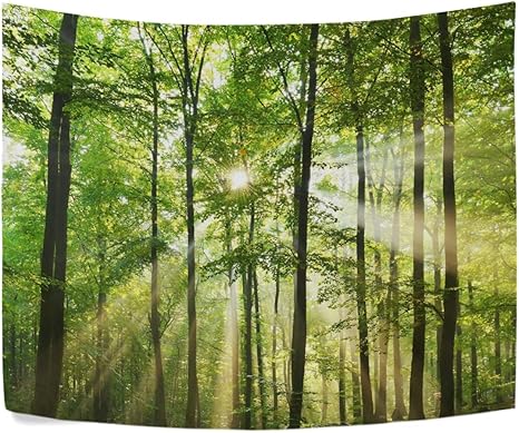 Amazon Co Jp Gorira ゴリラ ゴリラ ゴリラ タペストリーインテリア壁掛け和風おしゃれ絵画田園風緑グリーン木森林太陽絵パーティー部屋窓トップ飾り個性家庭飾り多機能装飾用品約幅152x101cm ホーム キッチン