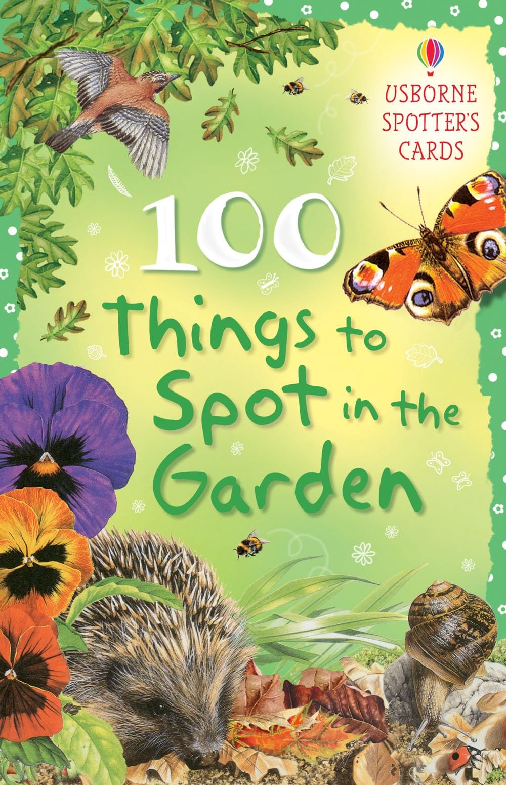 100 Things to Spot in the Garden (Usborne Spotter's Cards) Cards – 24 April 2009