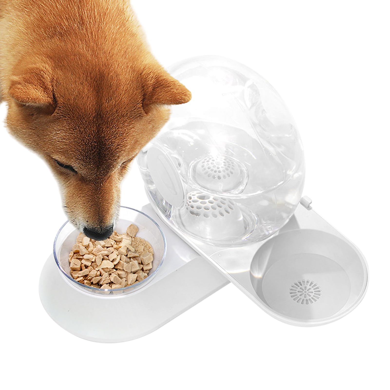 Bebedero para Perros Recipiente Alimenticio Antiderrames por Sifón para | Dispensador Automático De Agua Para Gatos para Cachorros Conejos y Mascotas
