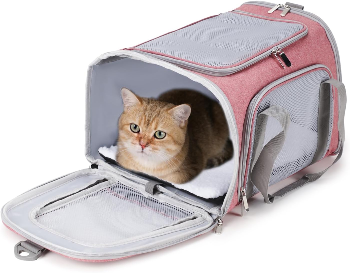 Airline Approved Pet Carrier for Cats and Small Dogs Up to 15lbs, Cat Dog Carrier with Safety Leash, Adjustable Shoulder Strap, Foldable Portable Travel Pet Carrier (Pink, Medium)