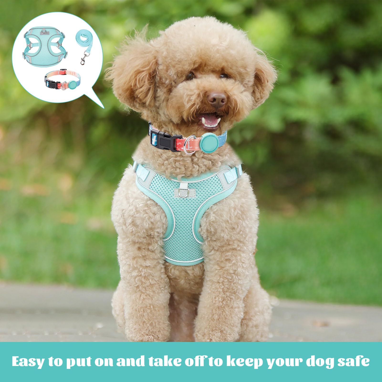 Collars - Image 4