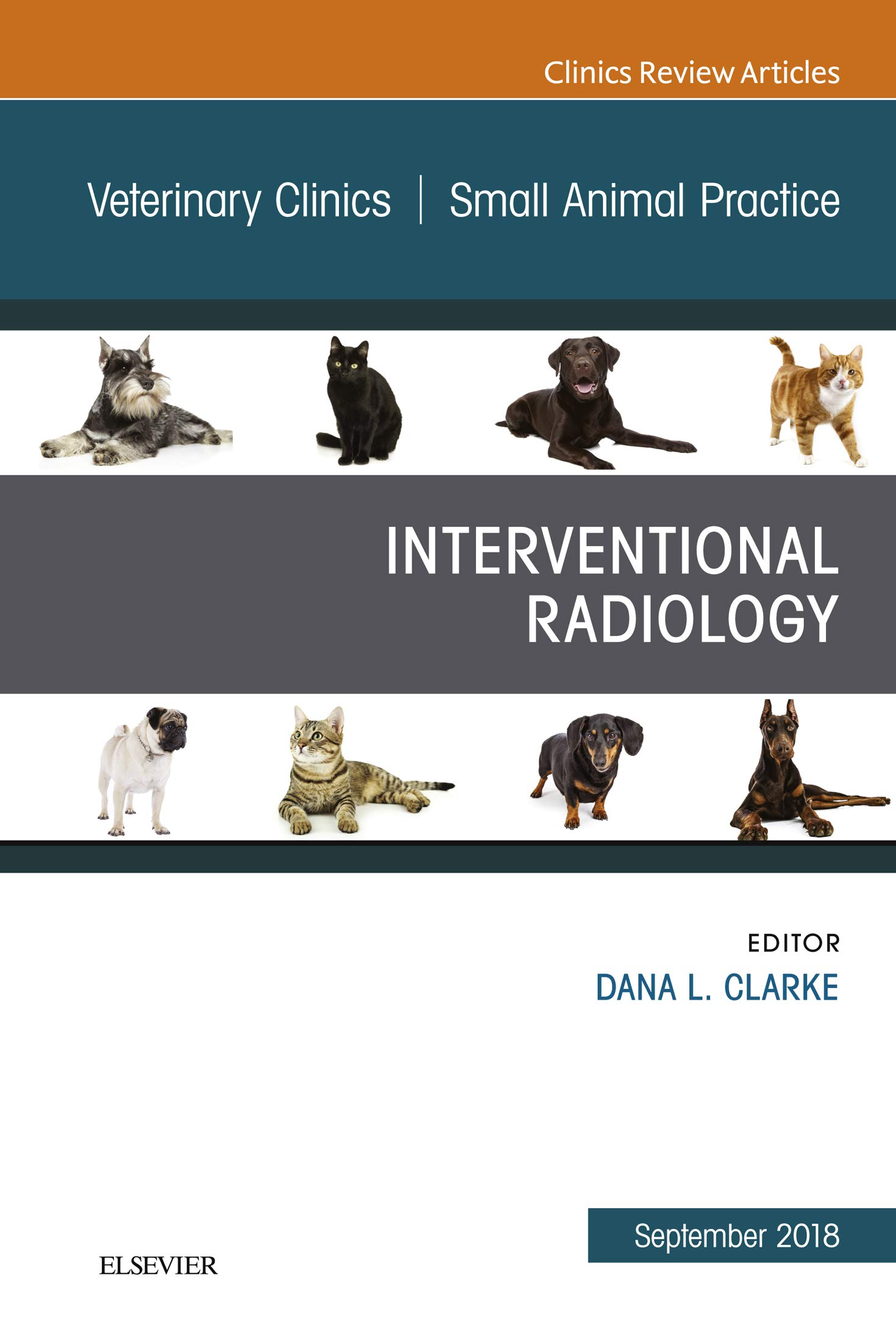 【裁断済】Small Animal Internal Medicine 1-4 裁断済】Small Animal Internal Medicine 1-4 - メルカリ