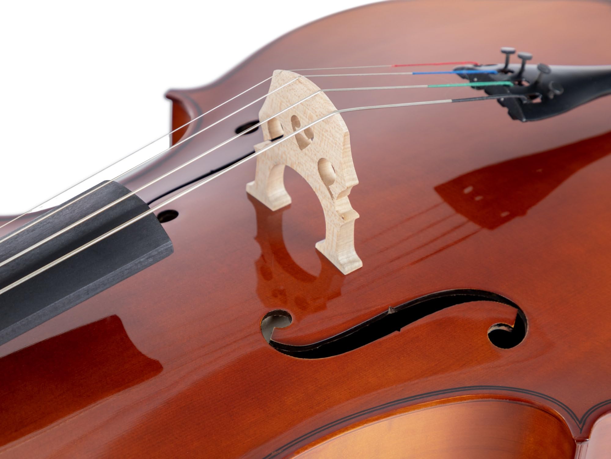Classic Cantabile Student Cello 3/4: tavola in abete laminato, fondo, fasce, manico e ponticello in acero, tastiera in tiglio tinto, meccaniche e capotasto in acero annerito. Include arco e custodia.