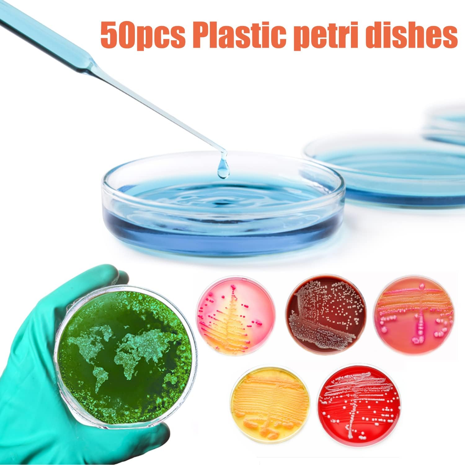 Lot de 50 boîtes de Petri en plastique stérile avec couvercles, 90 x 15 mm, boîtes de Petri stériles Bioresearch pour projets médicaux, biologiques, écoles scientifiques