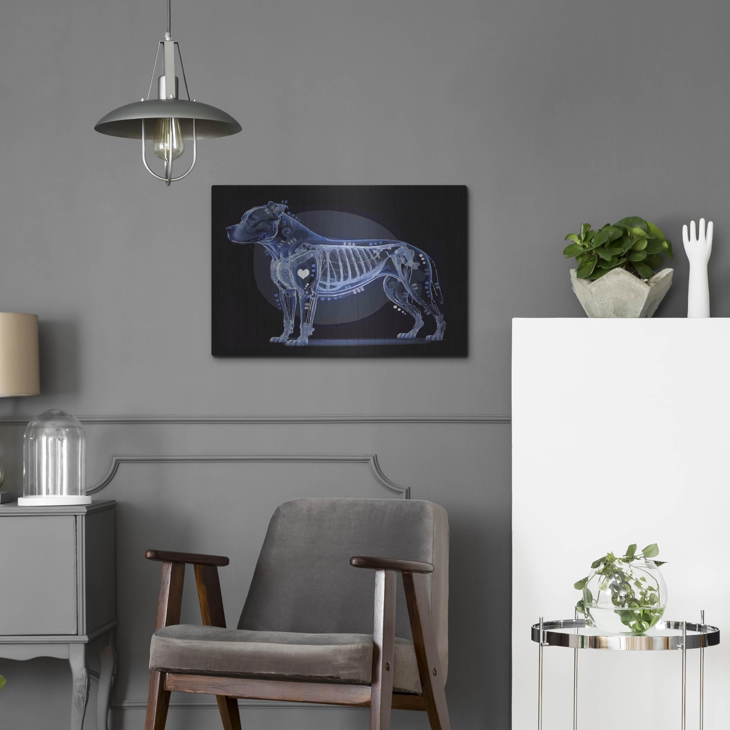 Amazon.com: Luxe Metal Art 'Xray Pitbull ' by Dean Russo Metal
