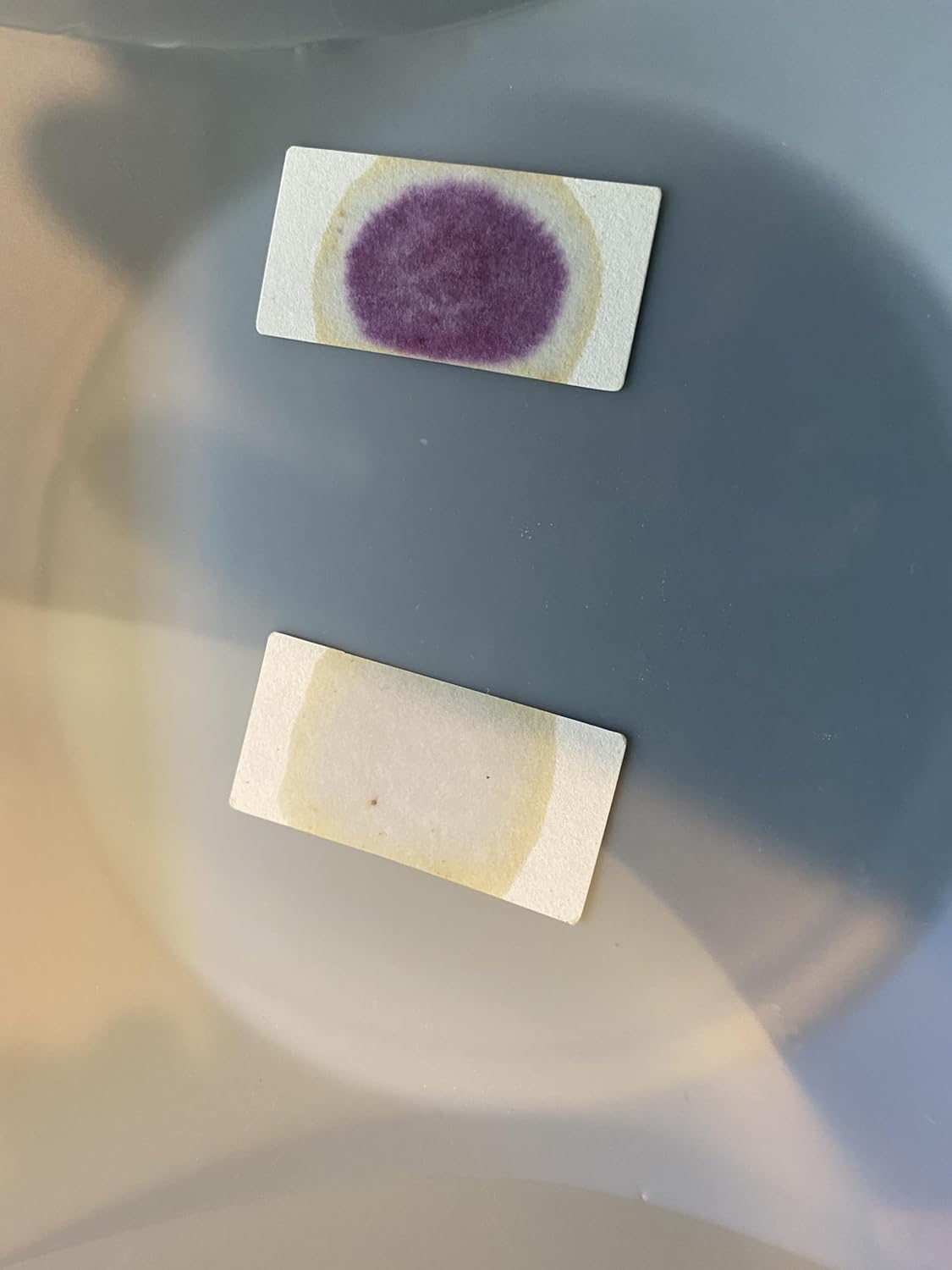 Generic Semen Residue Test Control Swab Kit