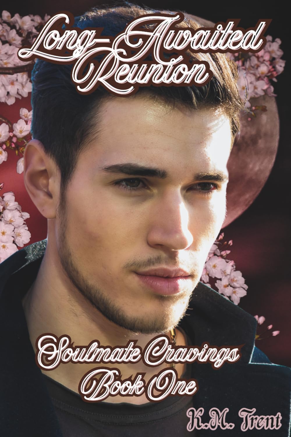 Long-Awaited Reunion: Soulmate Cravings Book One (Soulmate Cravings Trilogy)