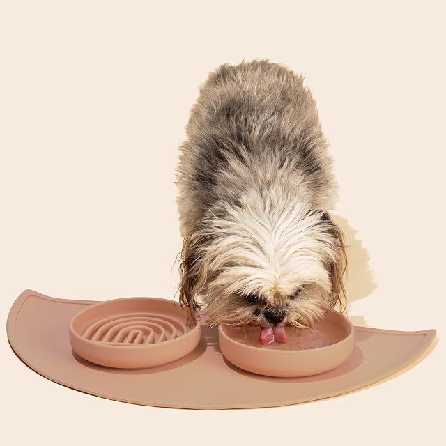 Foto 4 de 8 de Cuenco de alimentación Lenta para Perros: el Cuenco de ralentización es un Cuenco Moderno de Silicona…