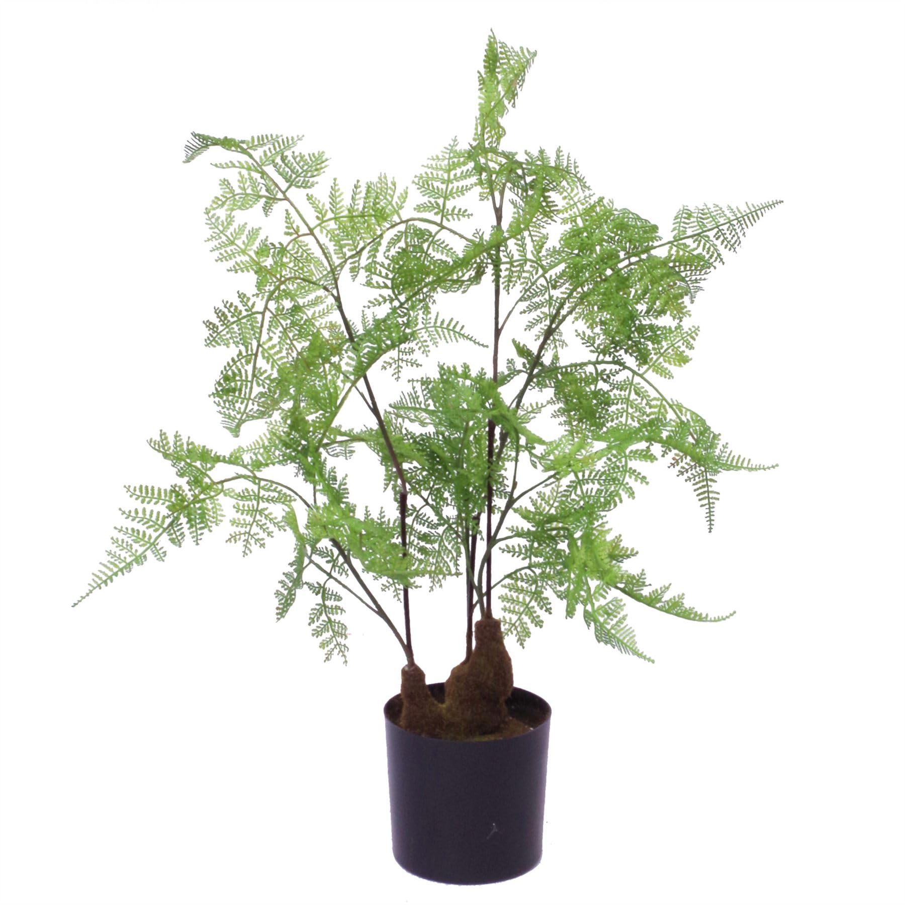 Botanik Premium Artificial Fern Grass