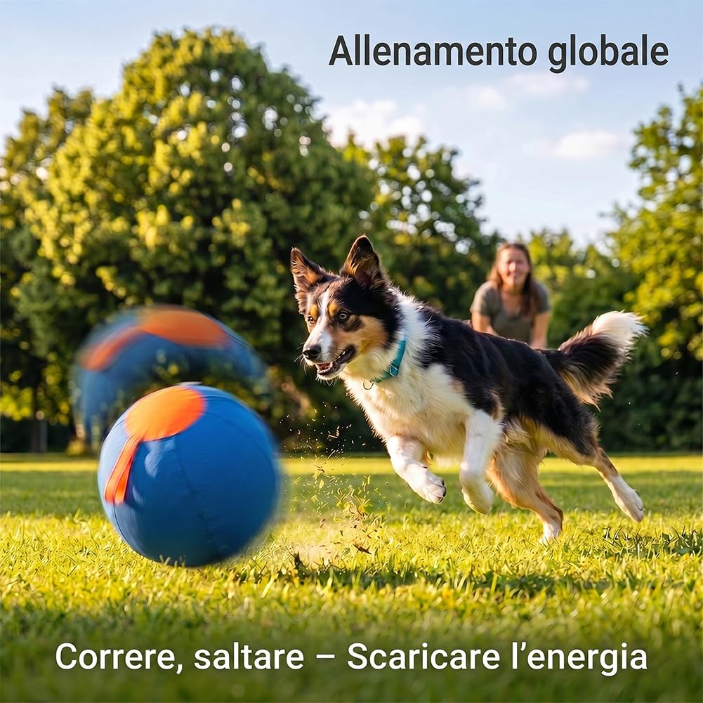 Herding Ball Dog | Palla Gonfiabile Gigante 45/55/65 cm | Antistrappo con Maniglia per Trasporto, per Addestramento Interattivo e Stimolazione Attiva (S:45CM)