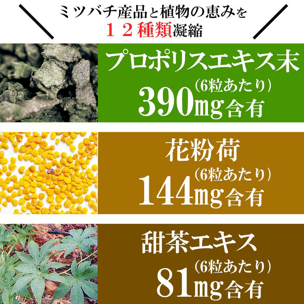 山田養蜂場 花粉ハーブ 180粒 × 2箱 Amazon.co.jp: 山田養蜂場 季節対策商品「花粉ハーブ」 180粒入