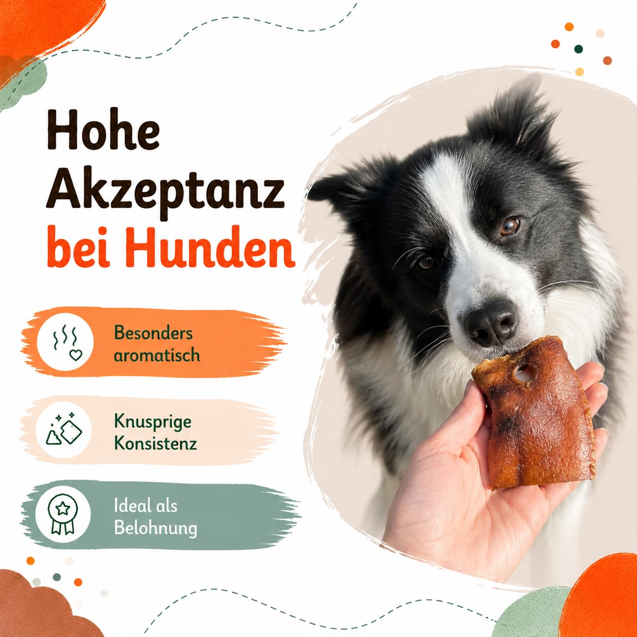 Hocico de cerdo seco, nariz de cerdo para perro, 5 kg, bocadillo natural para masticar, rico en proteínas y fácil de digerir, sin cereales y aditivos artificiales de Lucze