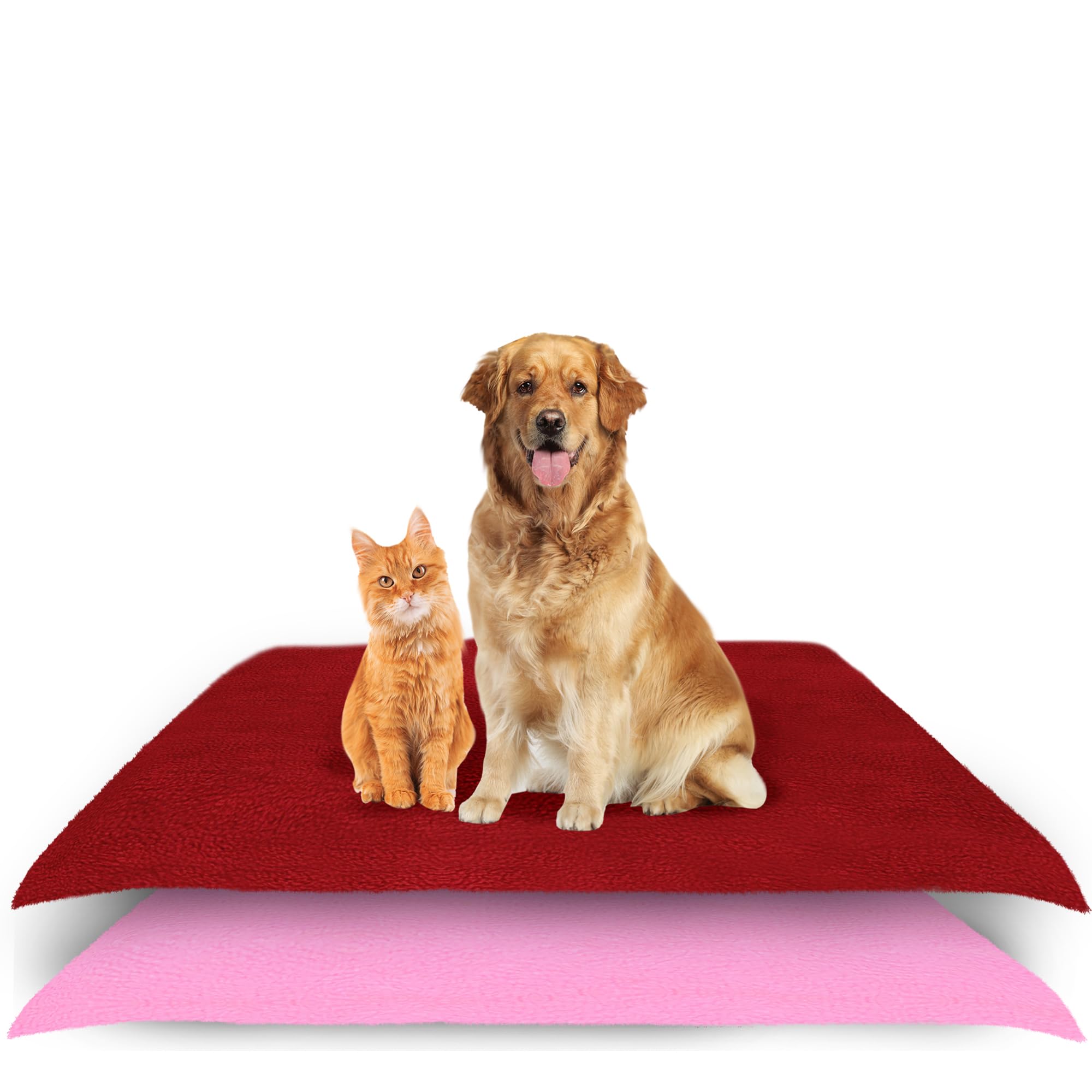AMORITE Waterproof Reusable Washable Pee Pads & Hygenic Pet Dry Sheet