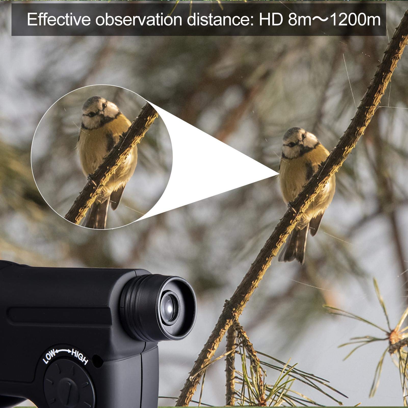 Dispositivo Ascolto A Lunga Distanza - Telescopio Acustico Parabolico Per Birdwatching